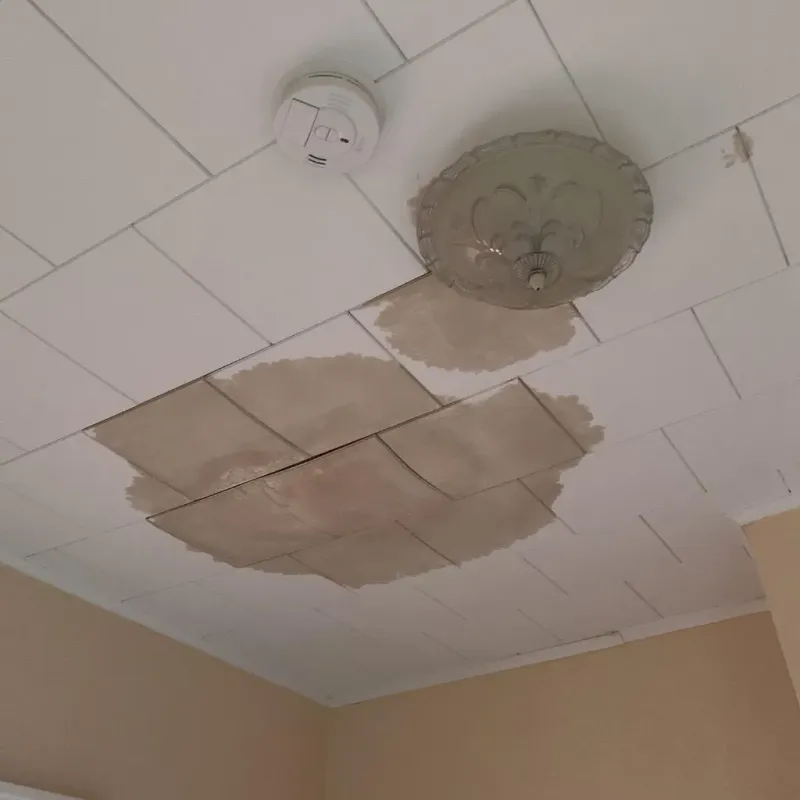 Ceiling Water Damage Repair in Issaquena County, MS