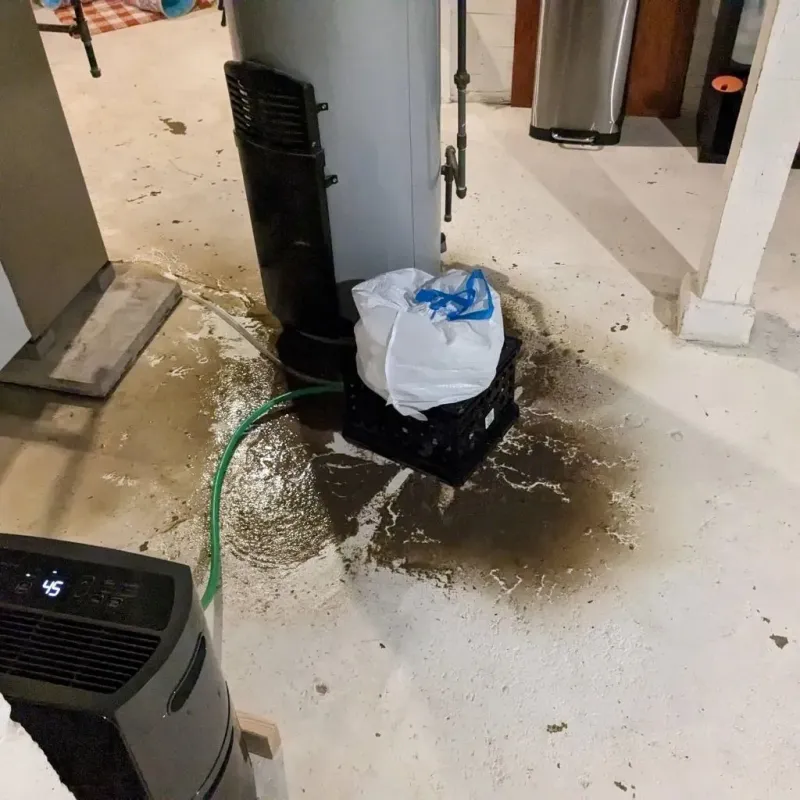Sewage Backup Cleanup Service in Issaquena County, MS